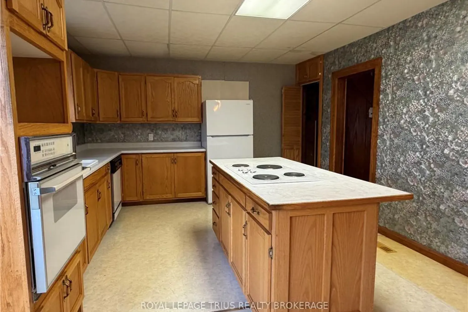 339 Norfolk Street photo 2