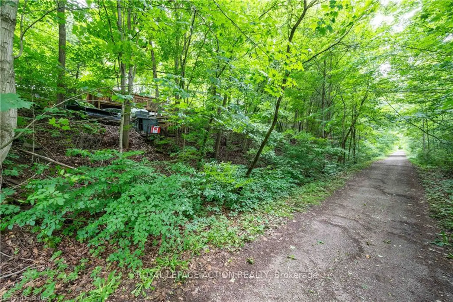 551 East River Road photo 5