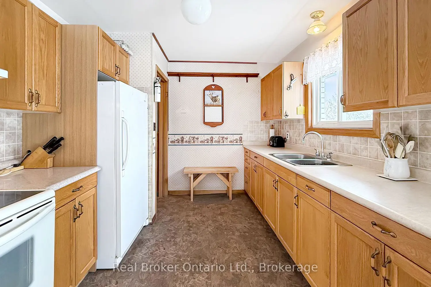 815 Albert Street photo 3