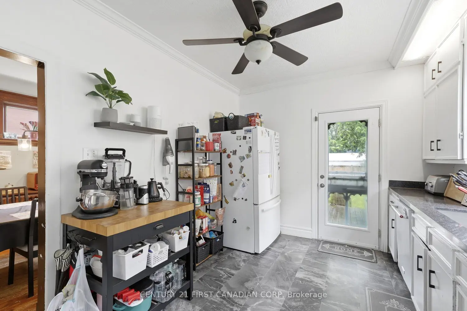 95 Myrtle Street photo 5
