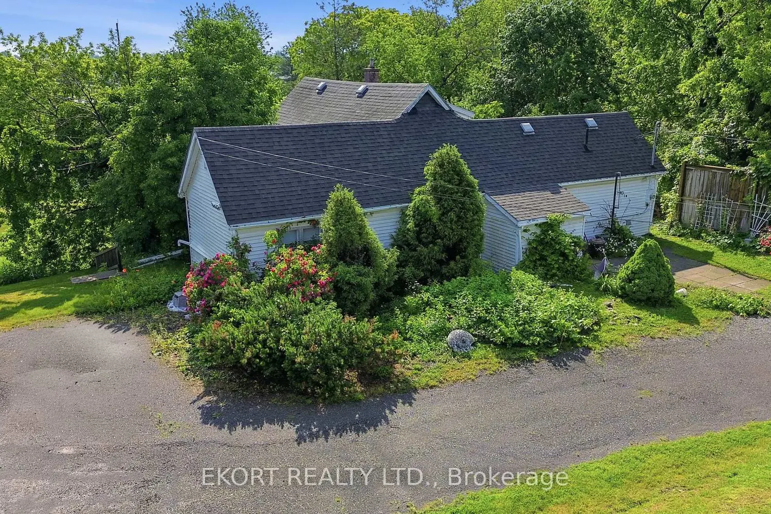 294 Moira Street photo 5