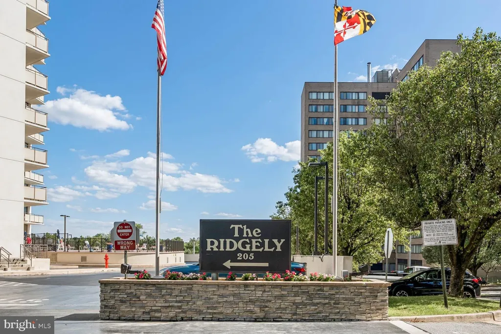 205 E Joppa Road Unit 1507, Towson, MD 21286