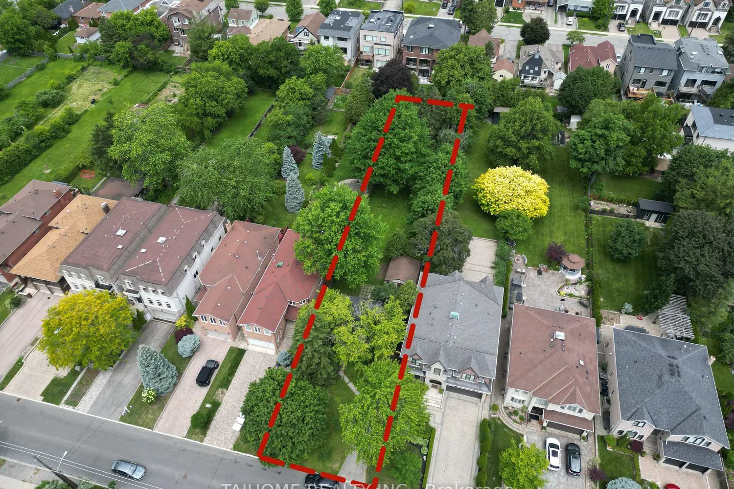 462 Ellerslie Avenue photo 5