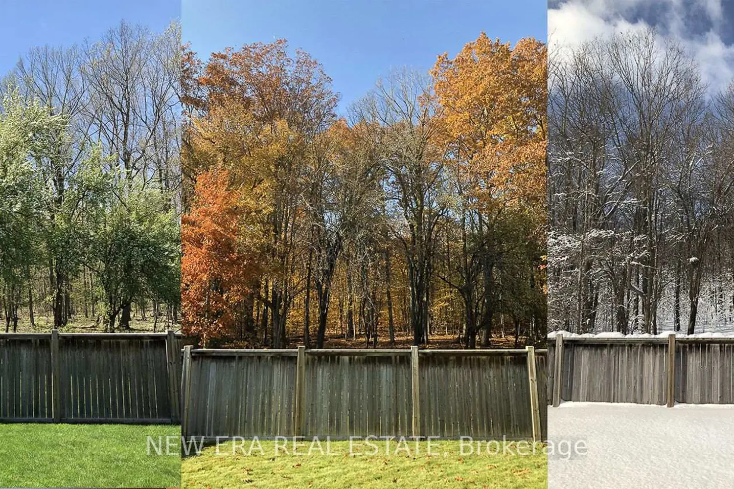 6687 St Michael Avenue photo 3