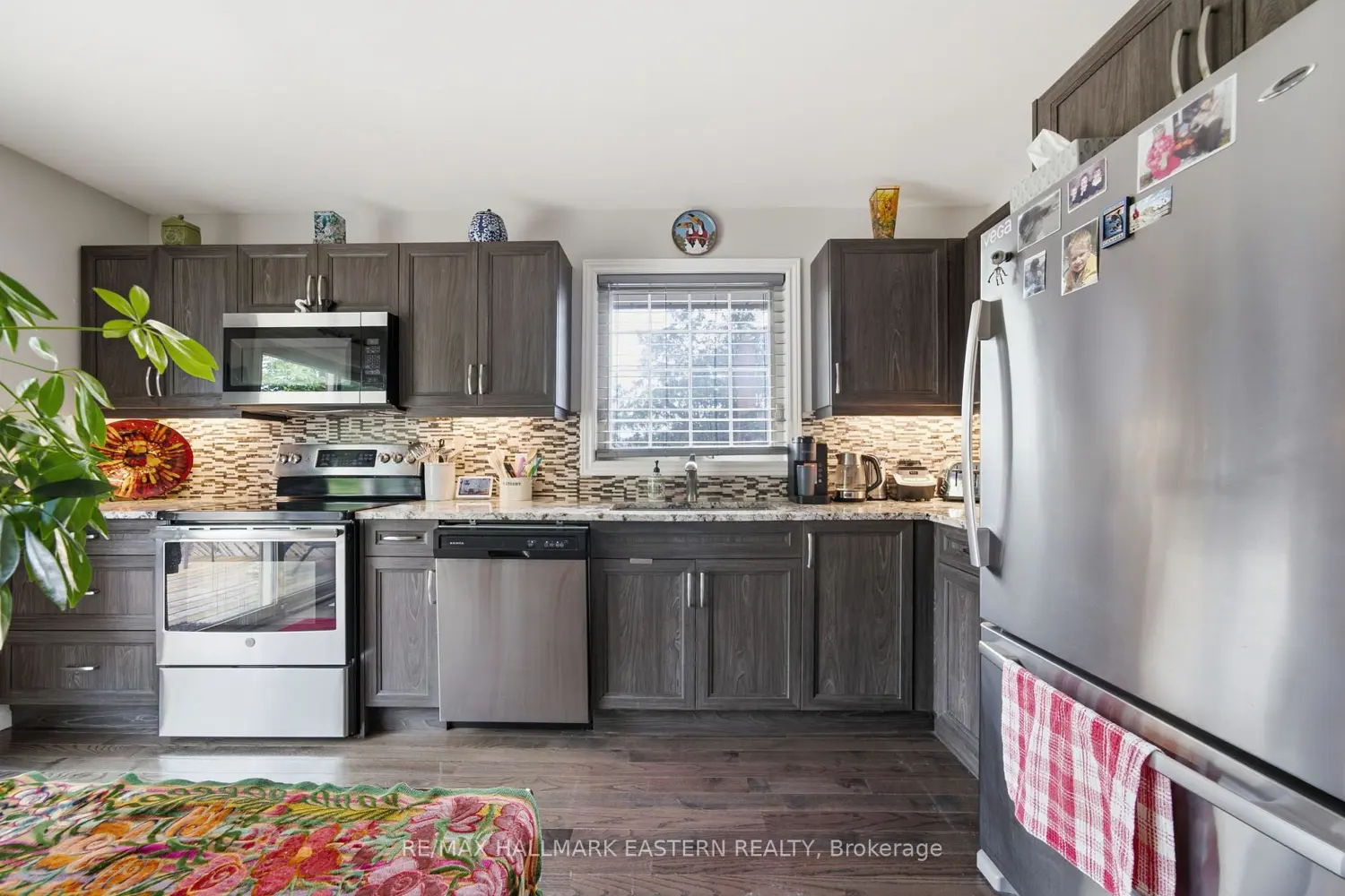636 Frank Street photo 3