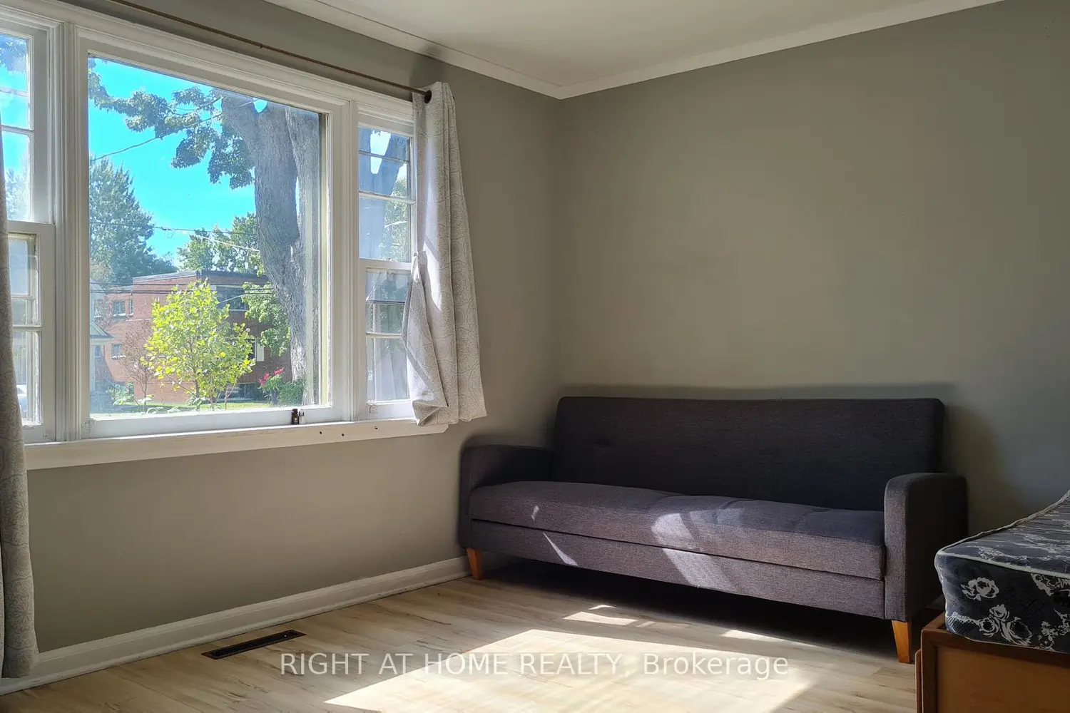 310 Grey Street photo 3