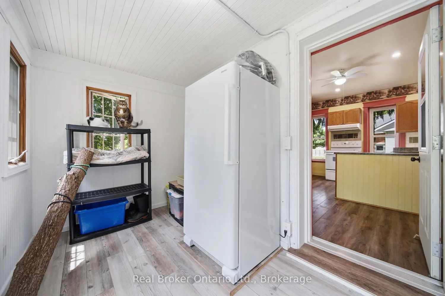 3050 Patrick Street photo 5
