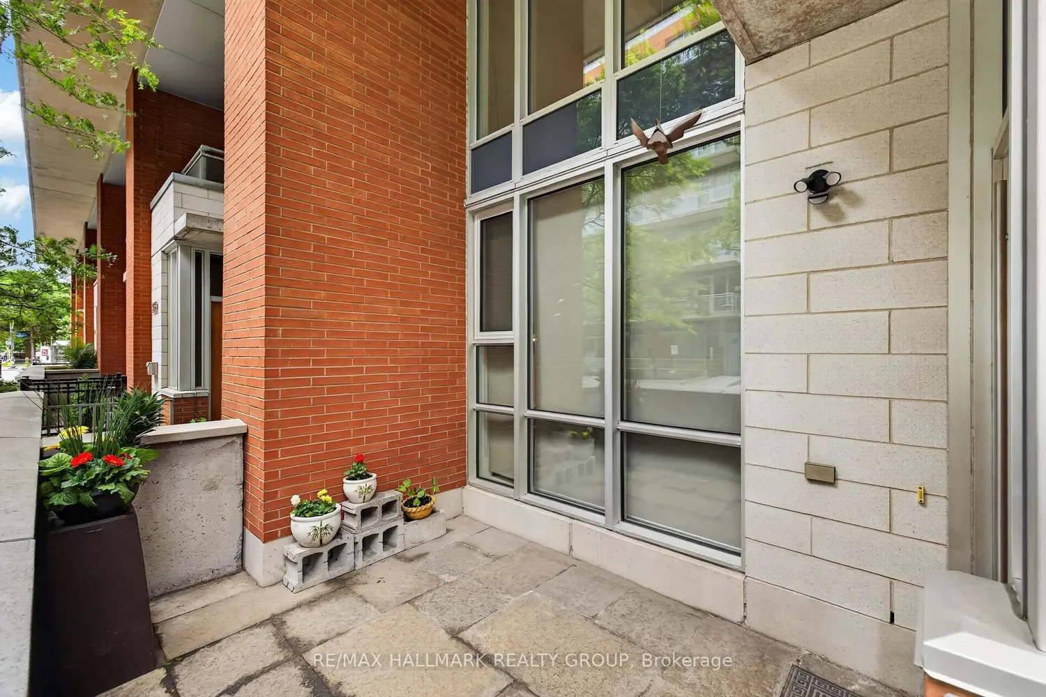 353 Mcleod Street photo 3