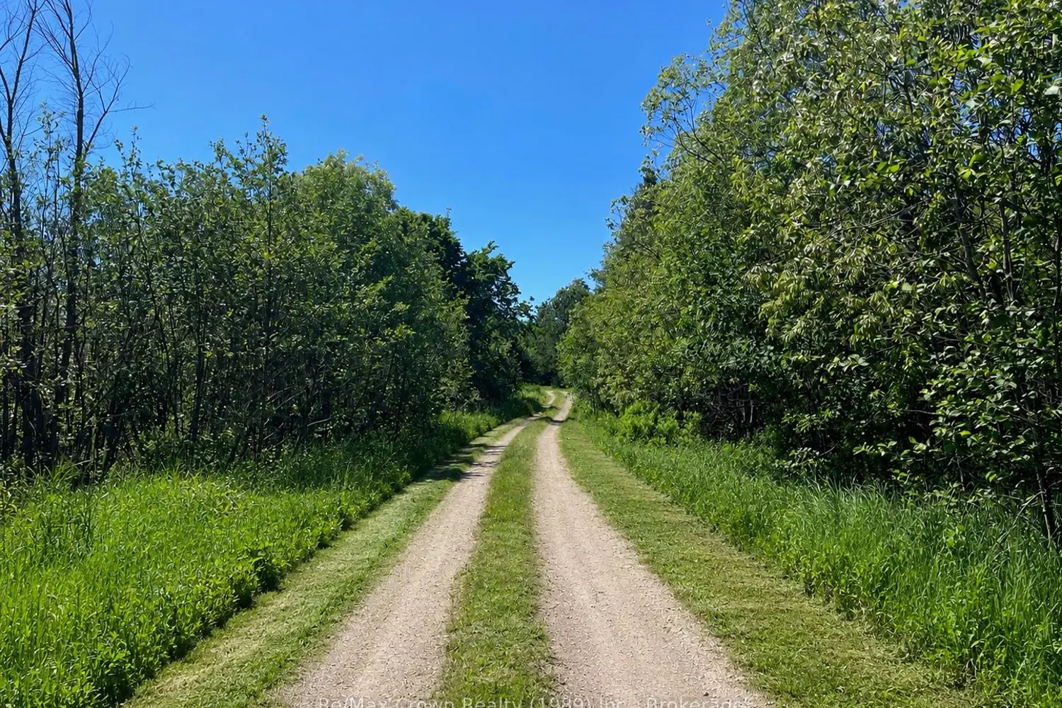 5 20Th Side Road photo 5