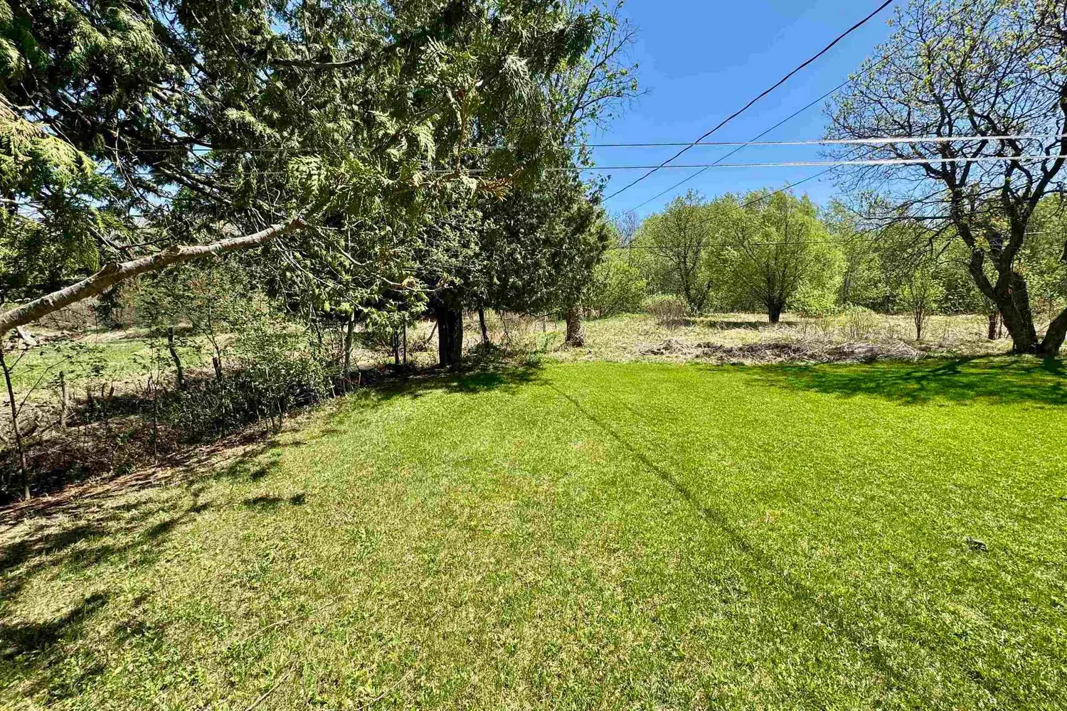 32 Martin Avenue photo 3