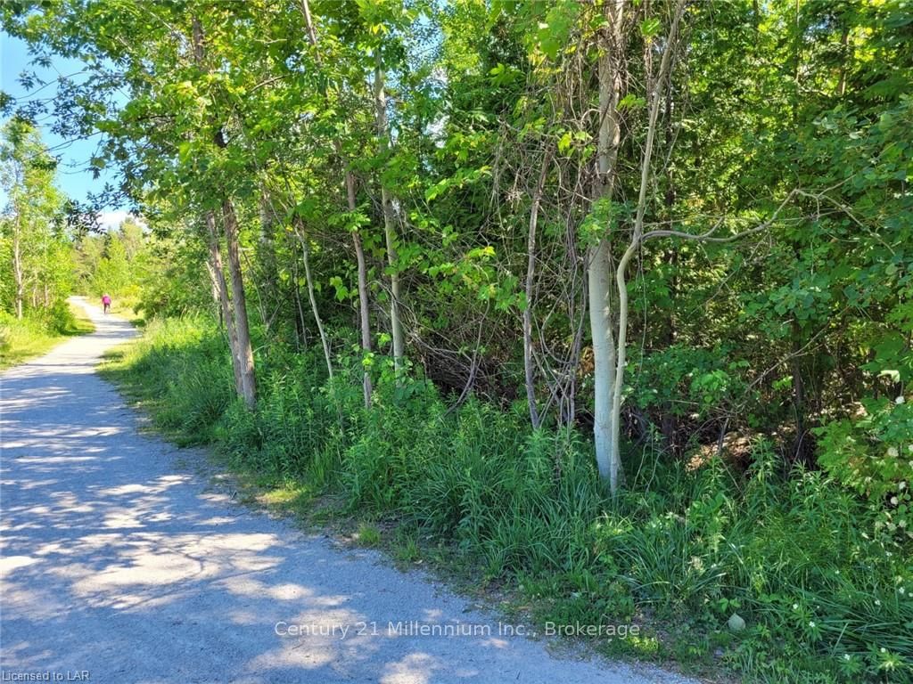 11325 26 Highway, Collingwood, ON, L9Y 5E2