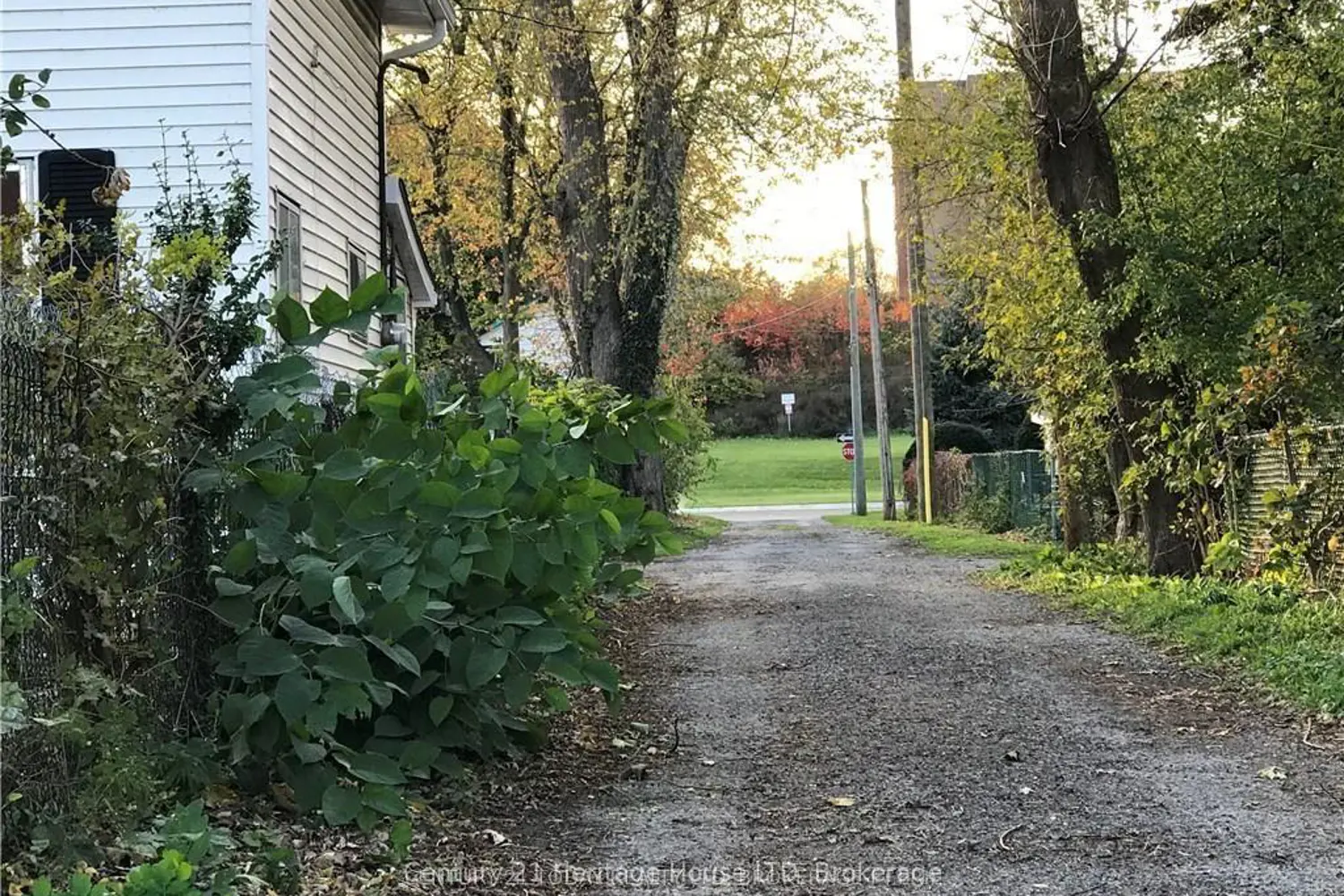 53 Princess Street photo 5