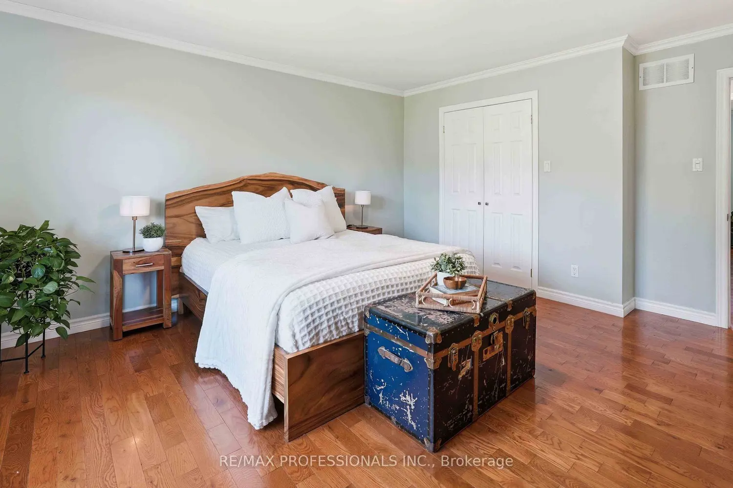 101 Maple Avenue photo 5