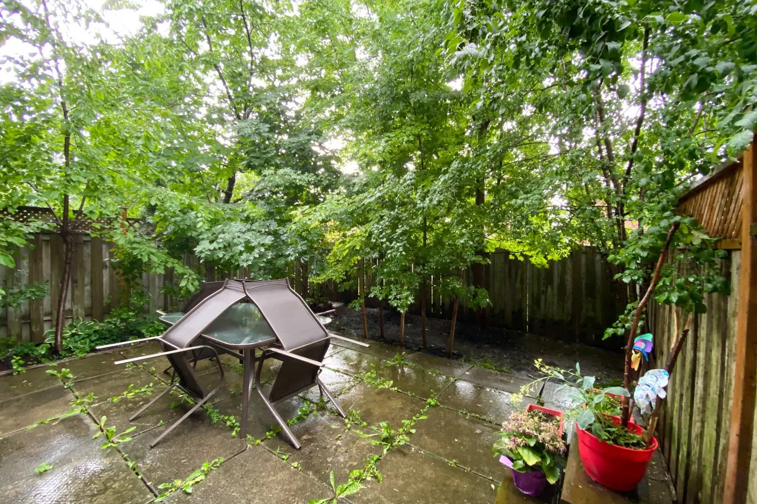 65 Black Hawk Way photo 3
