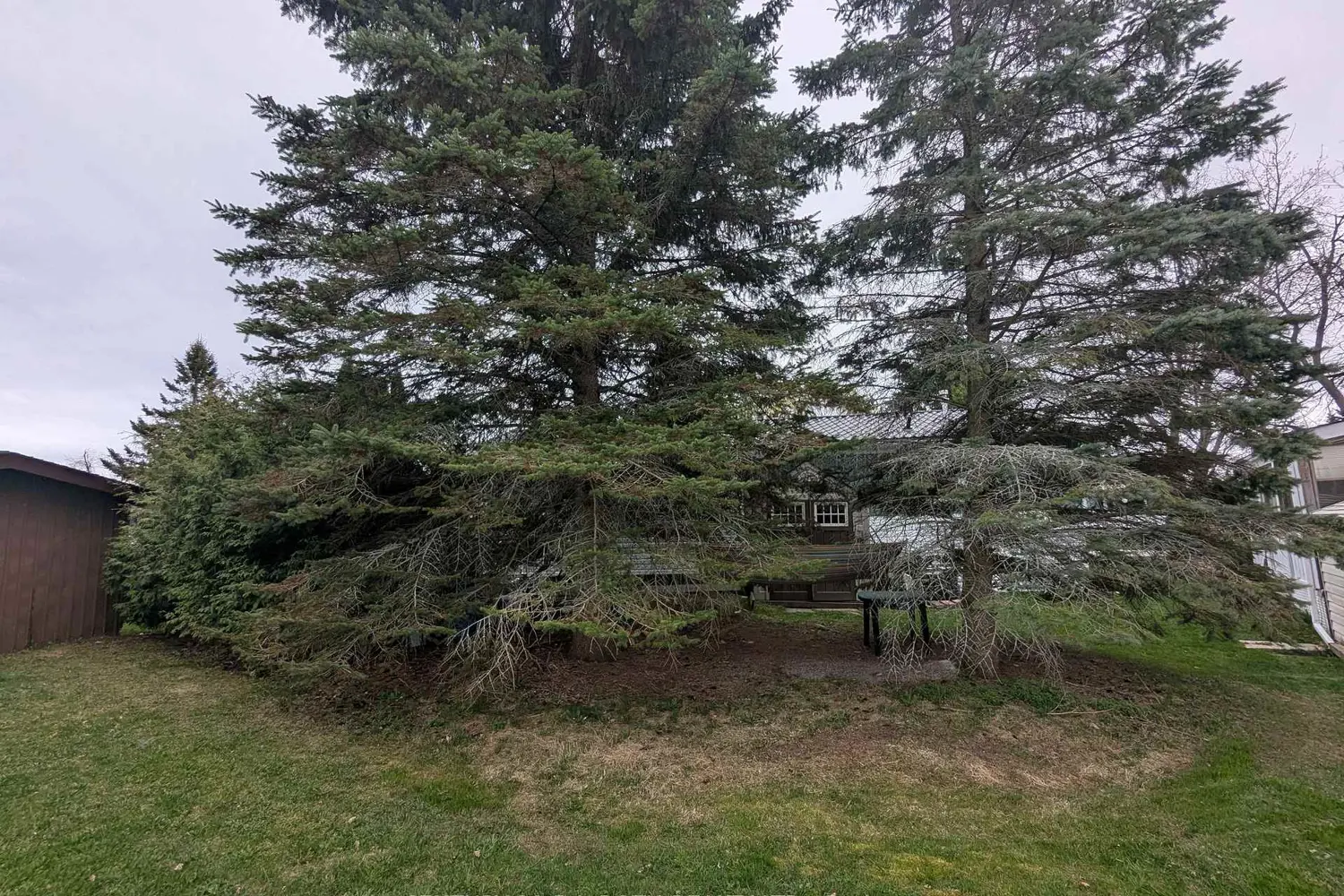 66 Linden Lane photo 4