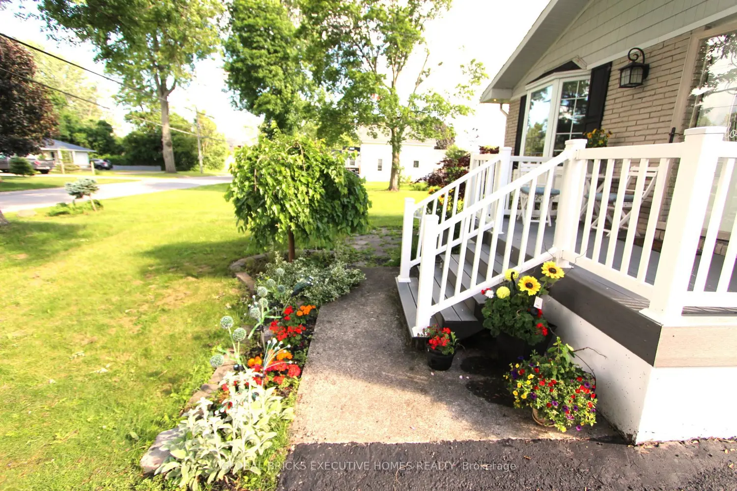 45 Albert Street photo 5