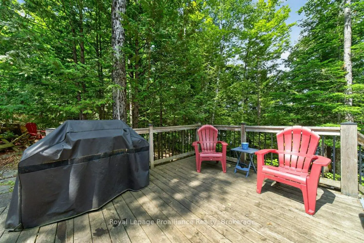 1107 Peters Lane photo 3