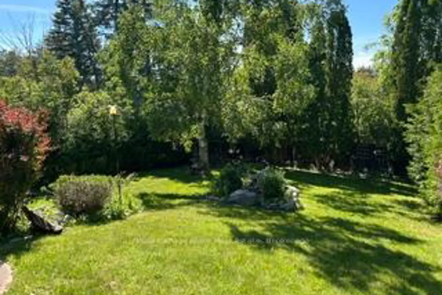 87 Oakwood Crescent photo 4