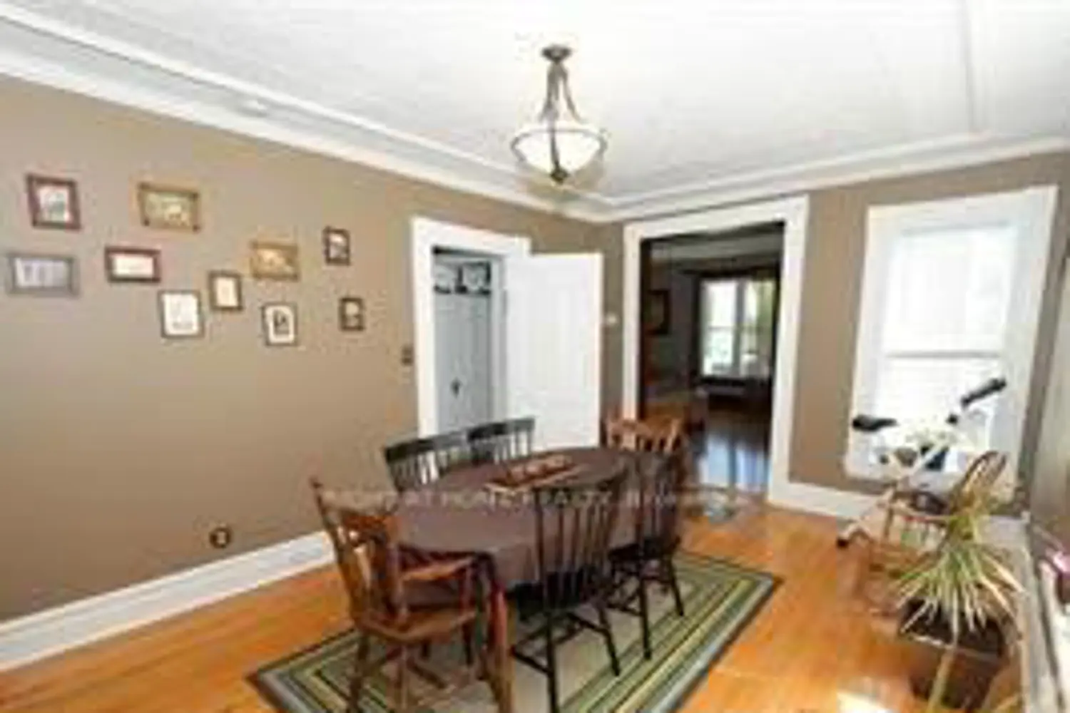 38 Albert Street photo 3