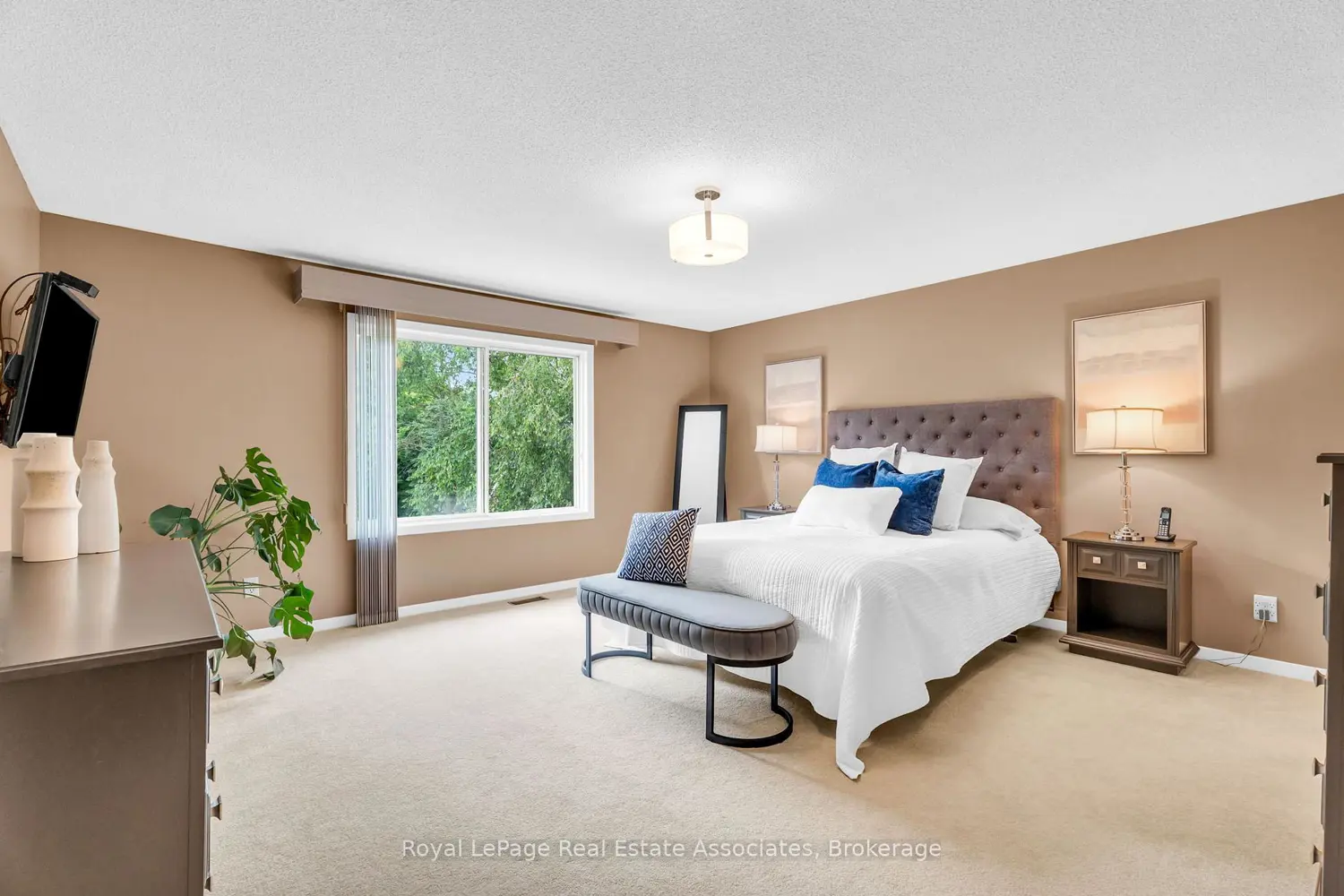 182 Rexway Drive photo 3