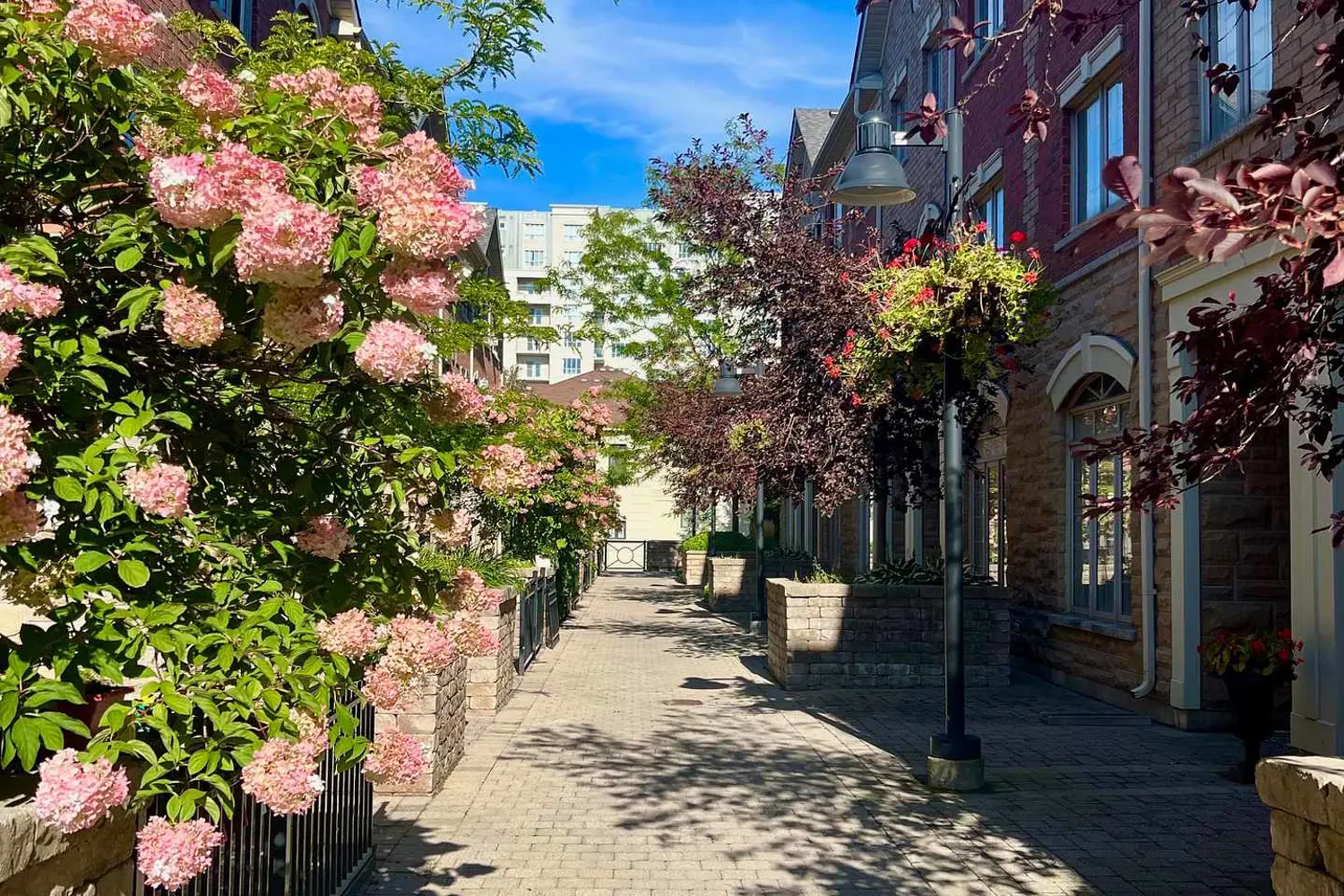 8 Brighton Place 56