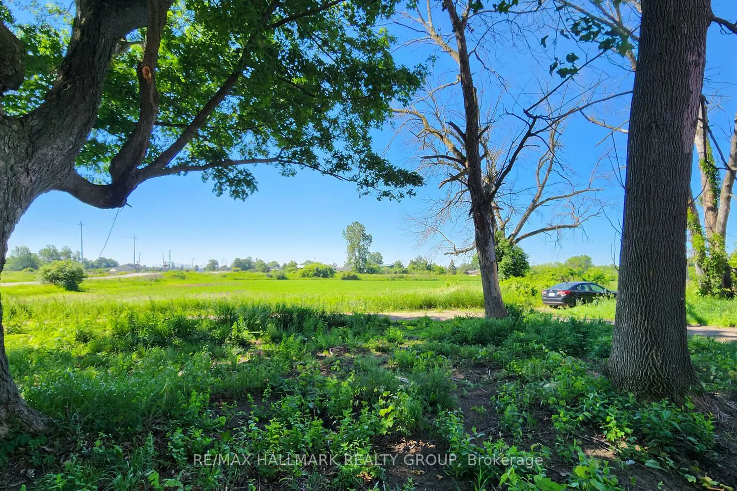 2429 Hiscocks Road photo 5