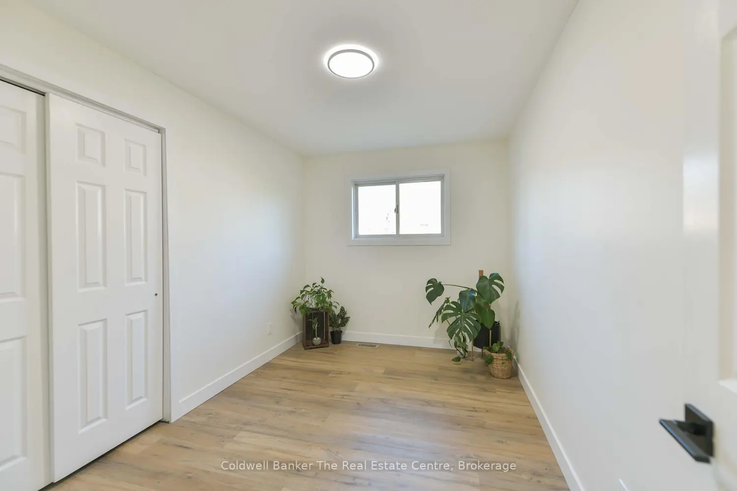 355 Louise Street photo 4