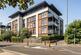 Sycamore Avenue, Woking