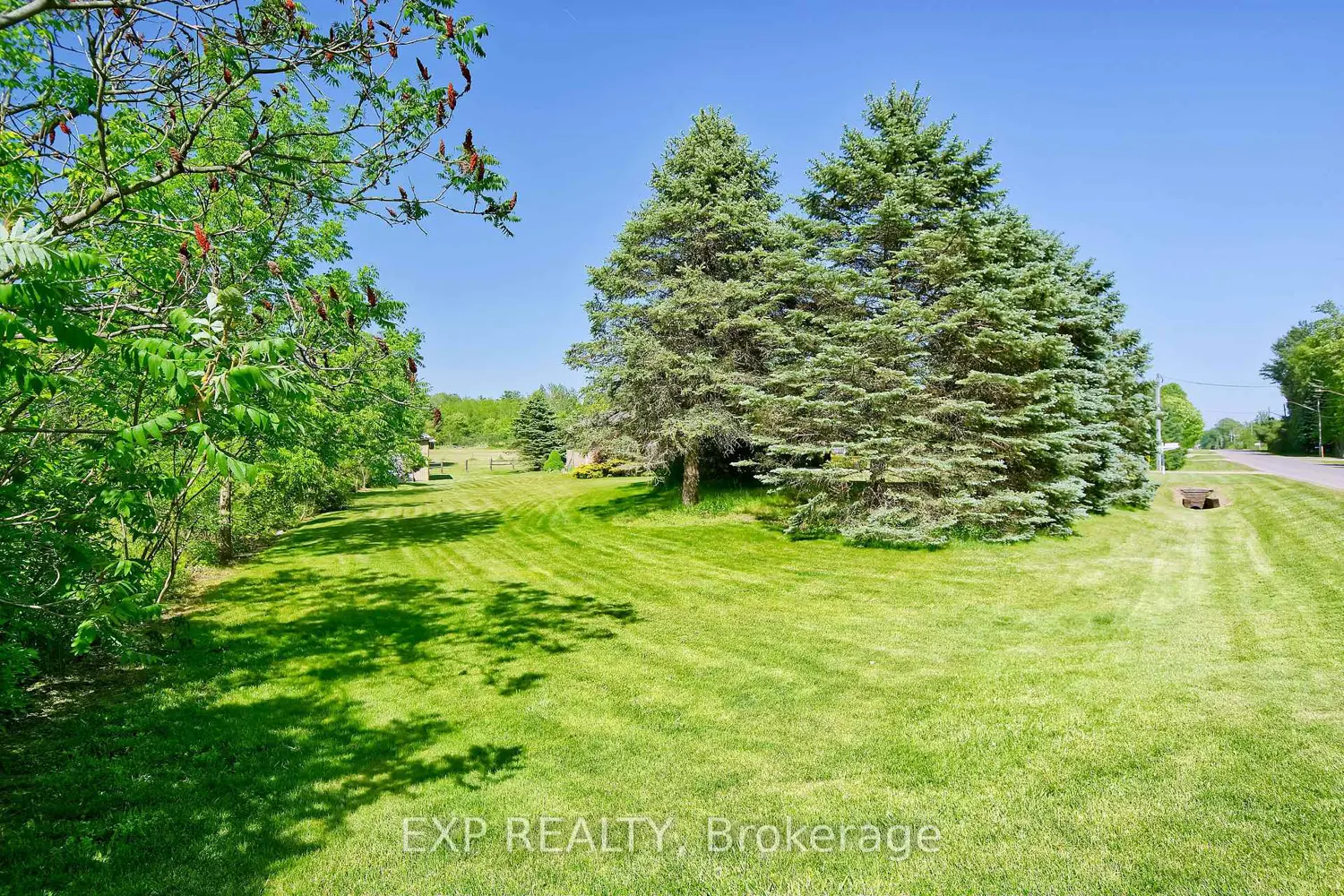 57186 Eden Line photo 5
