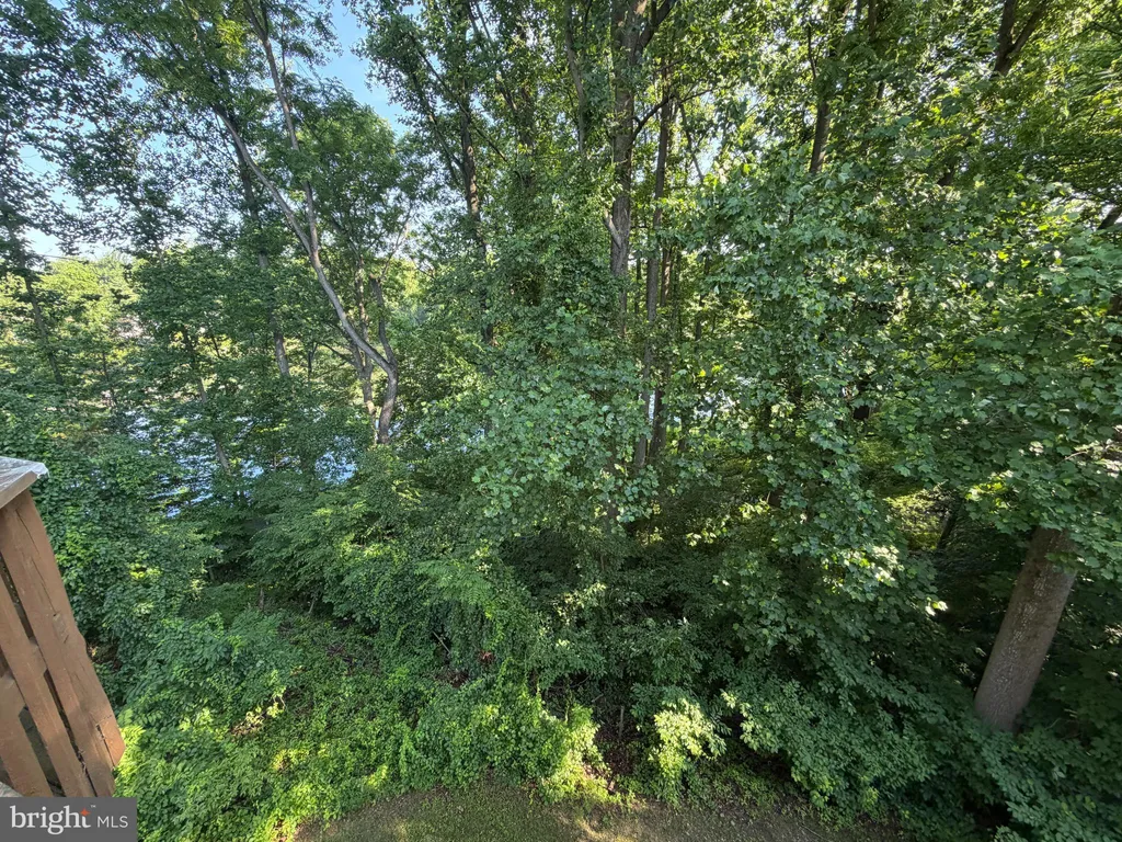 9497 Hickory Limb Unit 301, Columbia, MD 21045