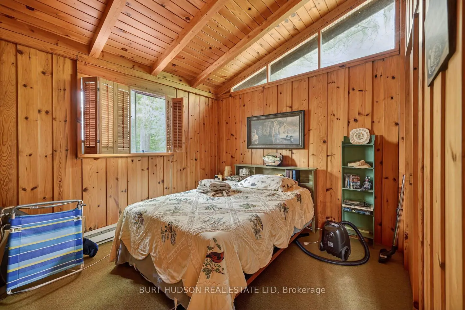 8 Birch Island photo 5