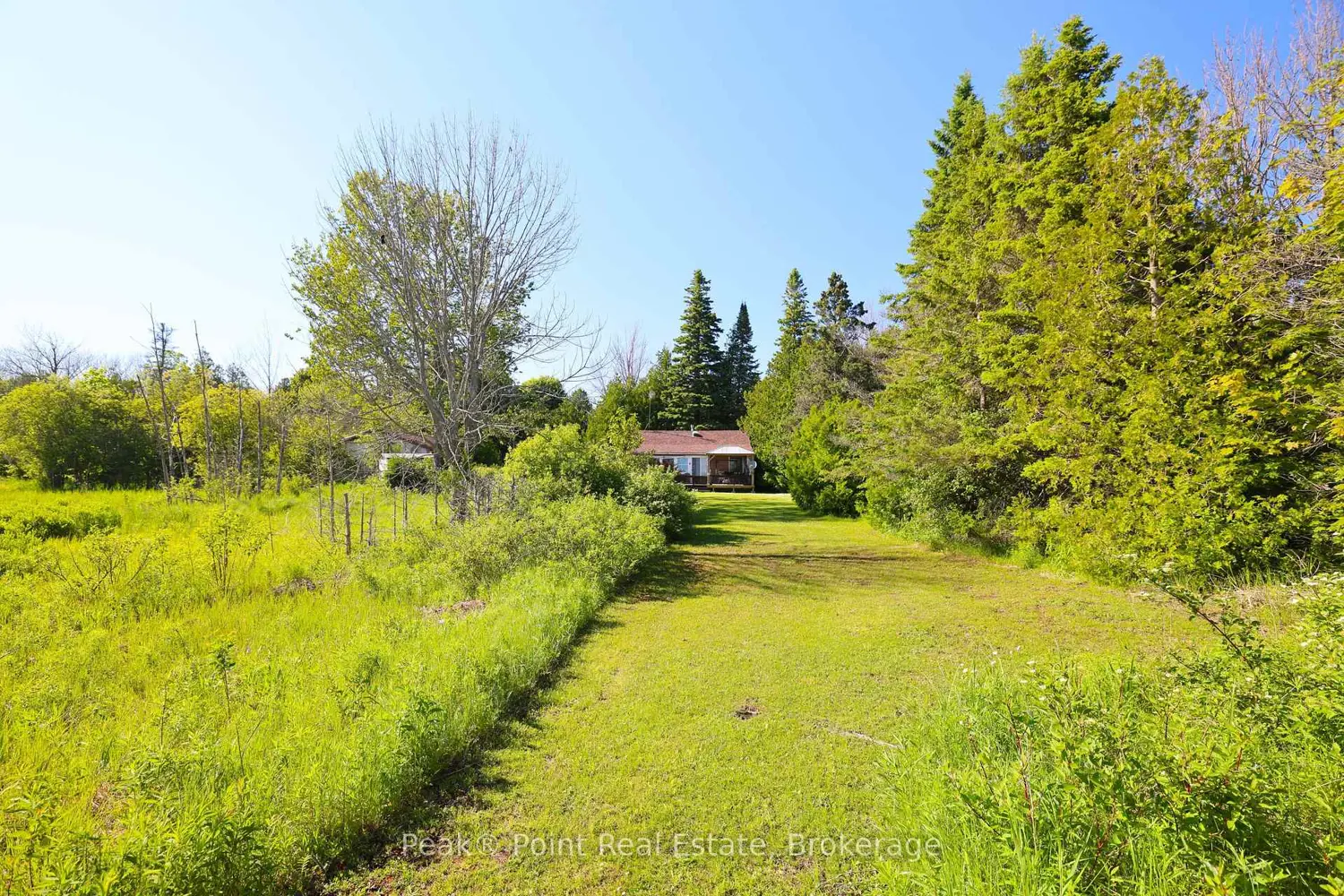 847 Howdenvale Road photo 3