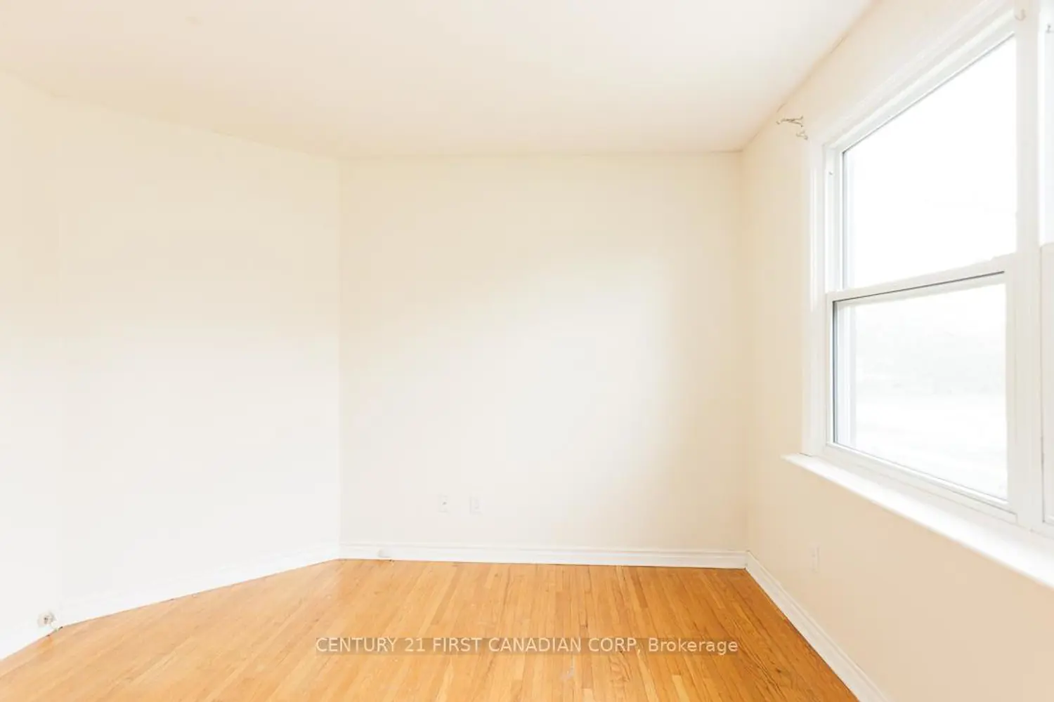 1185 Albany Street photo 3