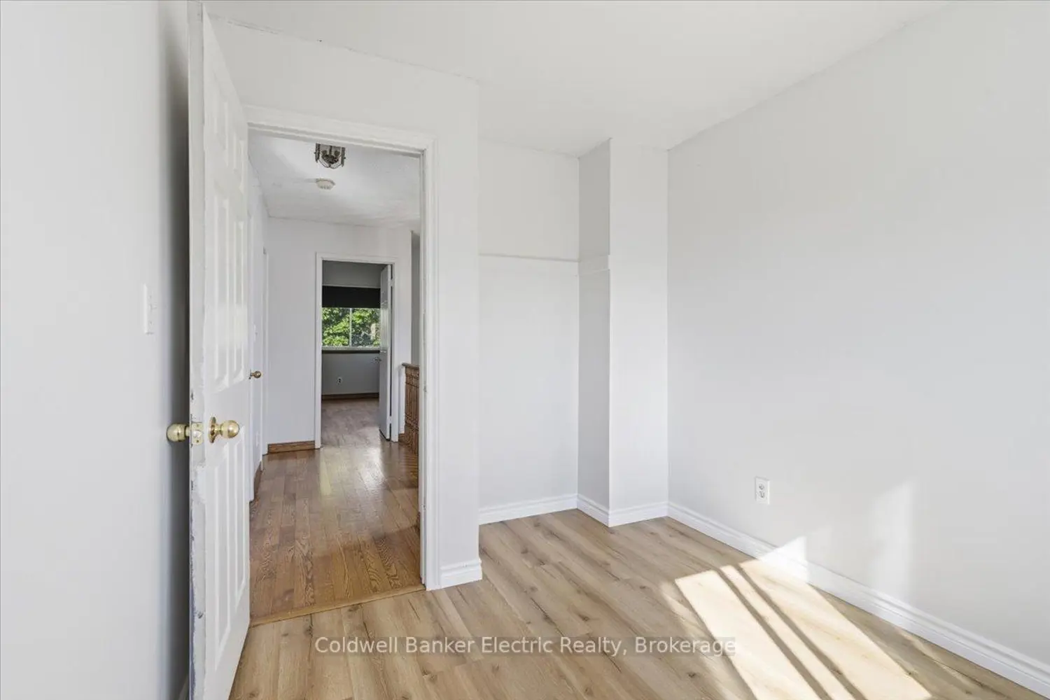 3 Walbridge Court photo 3