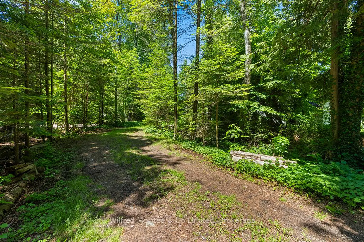 925 Bruce Road 13 photo 3