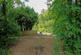 Vinehall Road, Mountfield, Robertsbridge photo 4