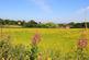 Bramley Park, Marsh Lane, Sheffield, Derbyshire, S21 photo 5
