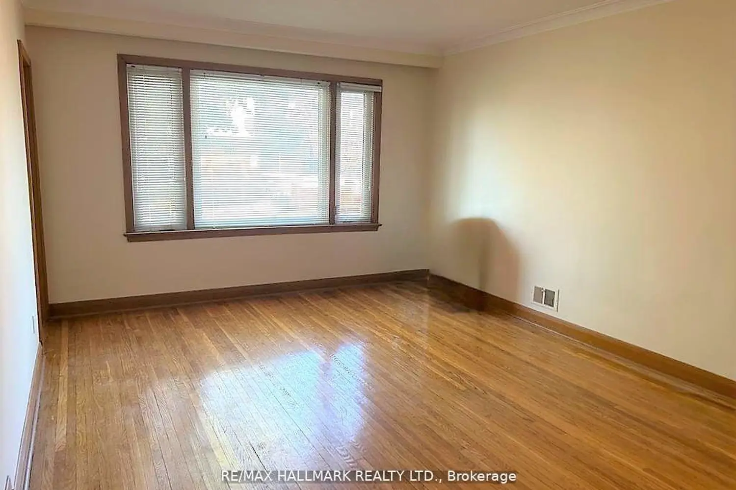 9 Macleod Street photo 5