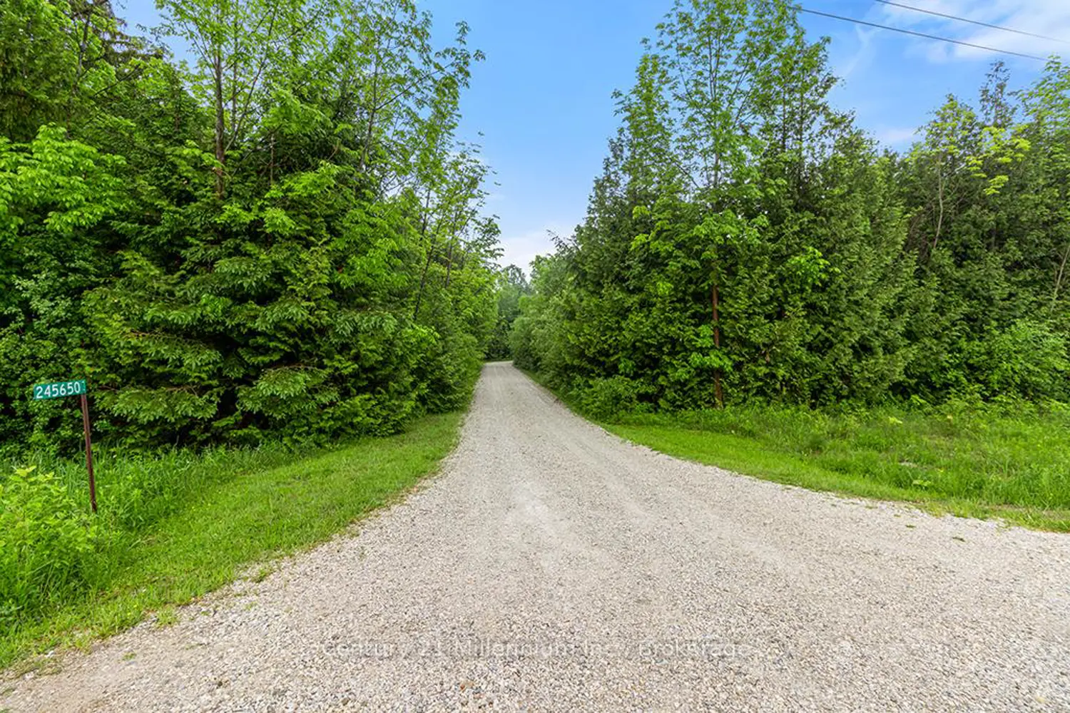 245650 22 Side Road photo 2