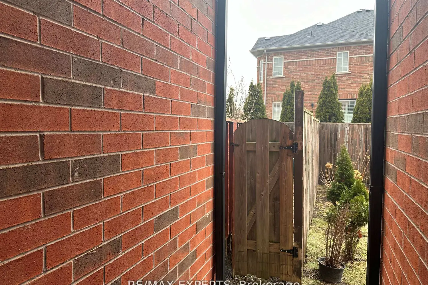 3769 Nightstar Drive photo 3