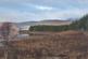 Loch Shinside Wood, Lairg IV27