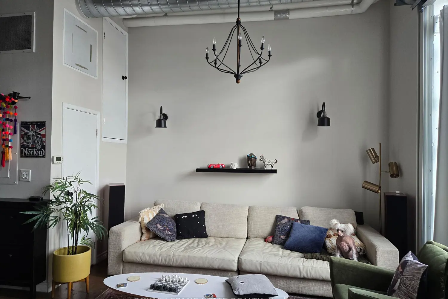 11 Rebecca Street 202 photo 5