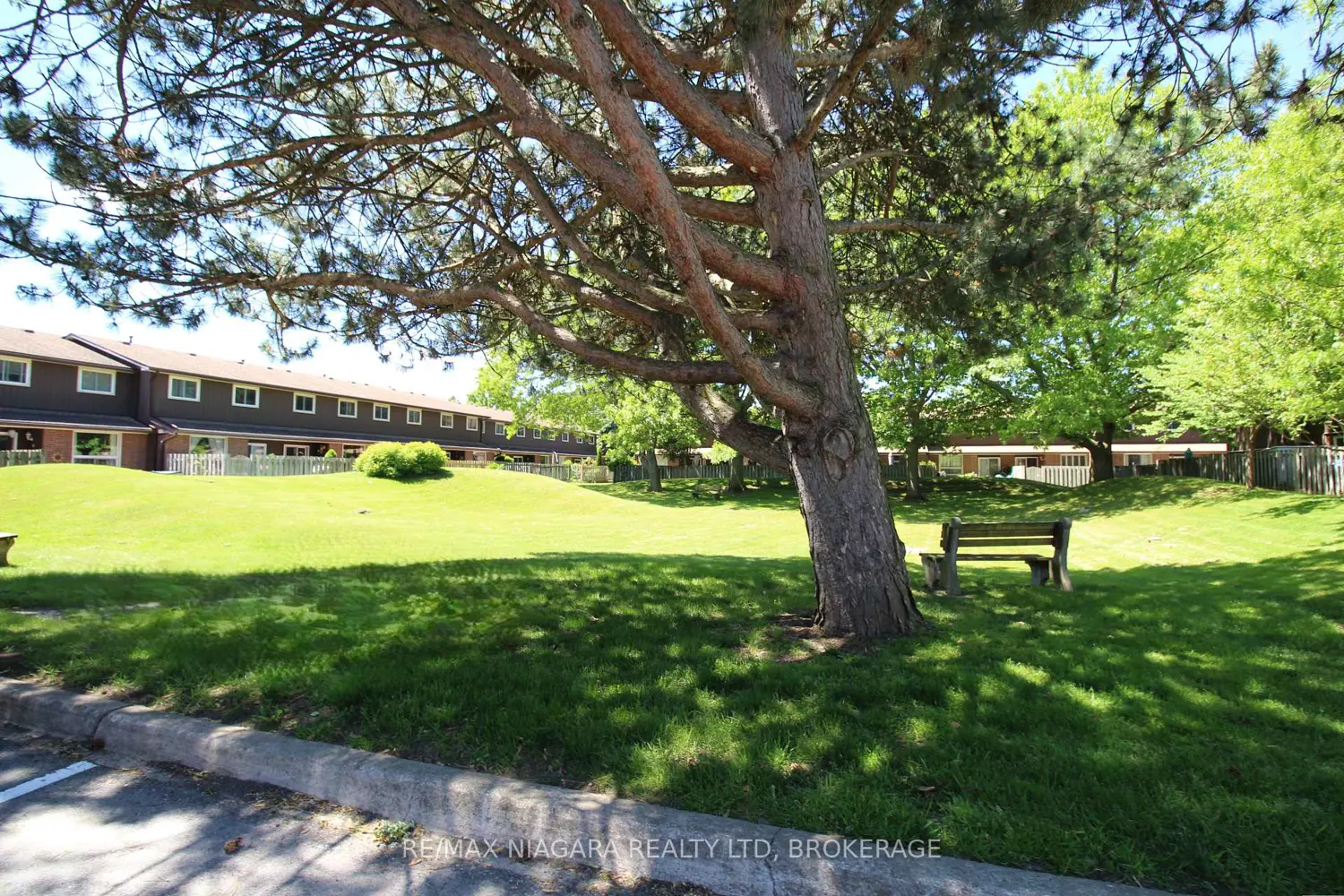 64 Forster Street 28 photo 3