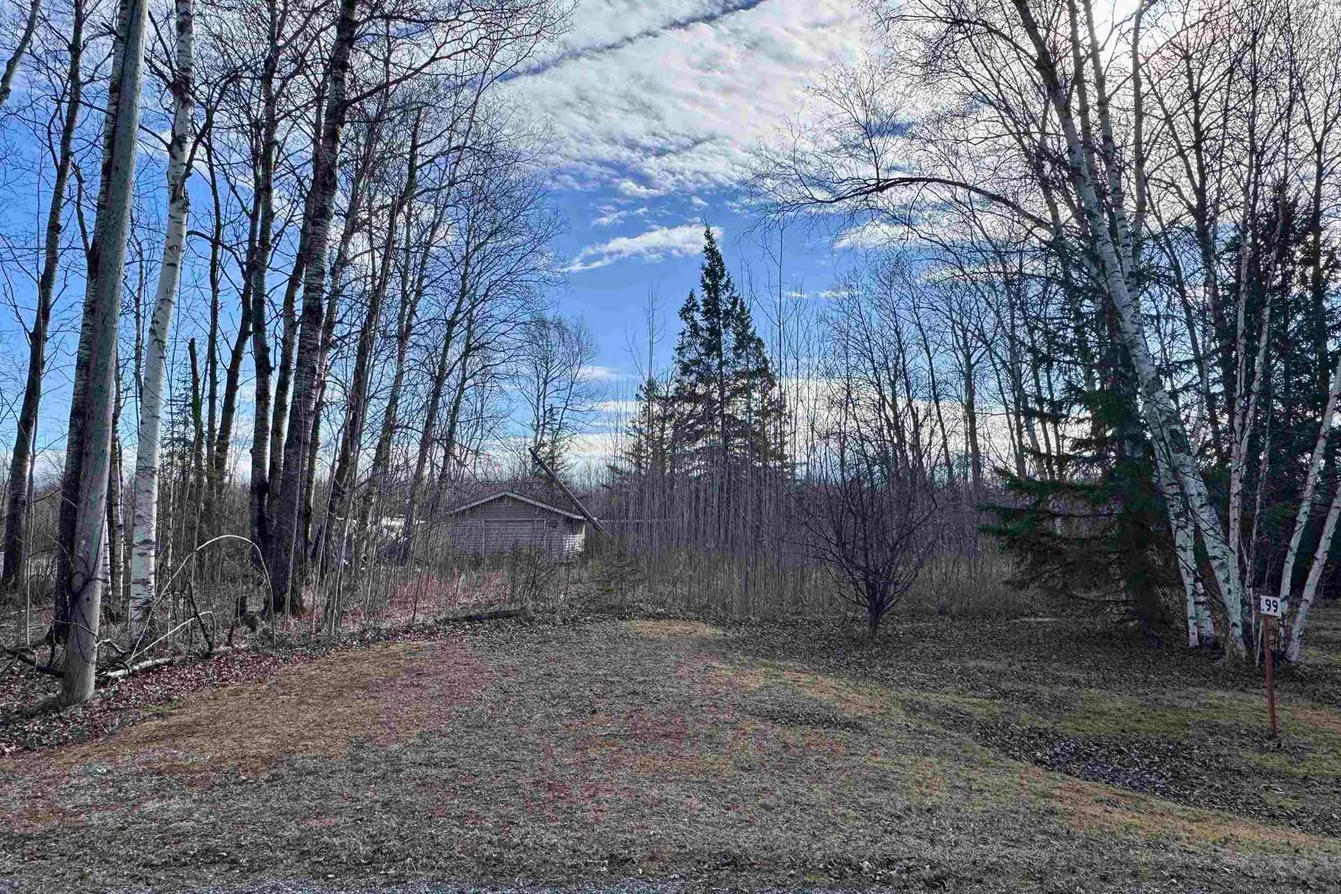 99 Kreger Road photo 5