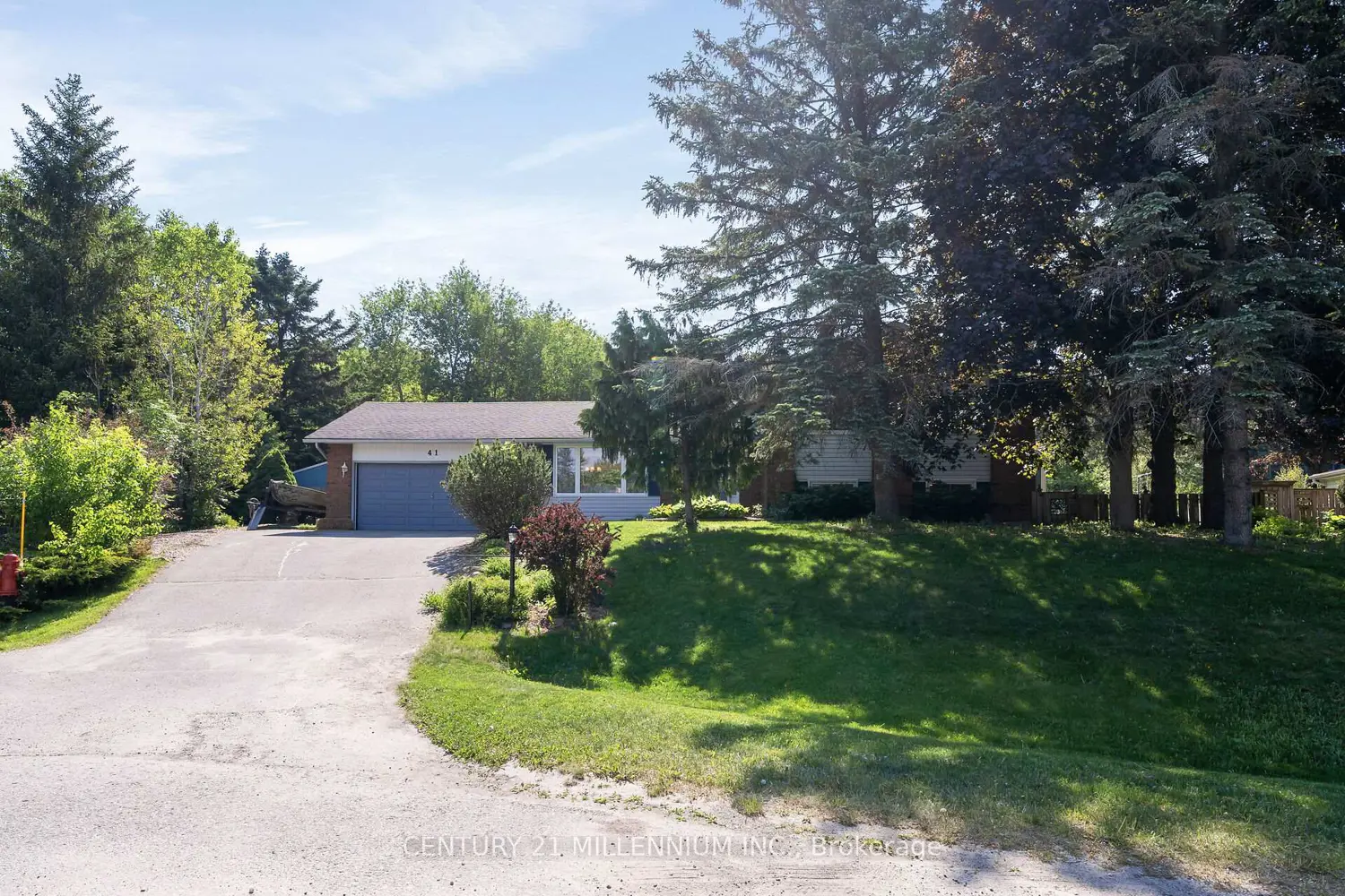 41 Douglas Crescent photo 2