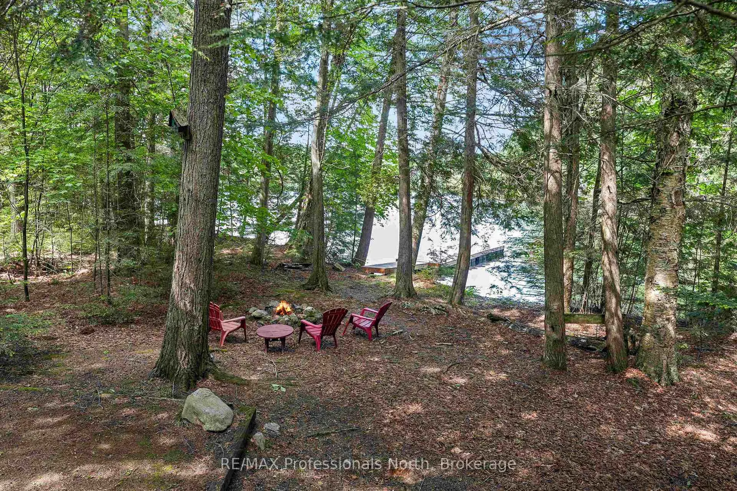1420 Moose Lake Road photo 3