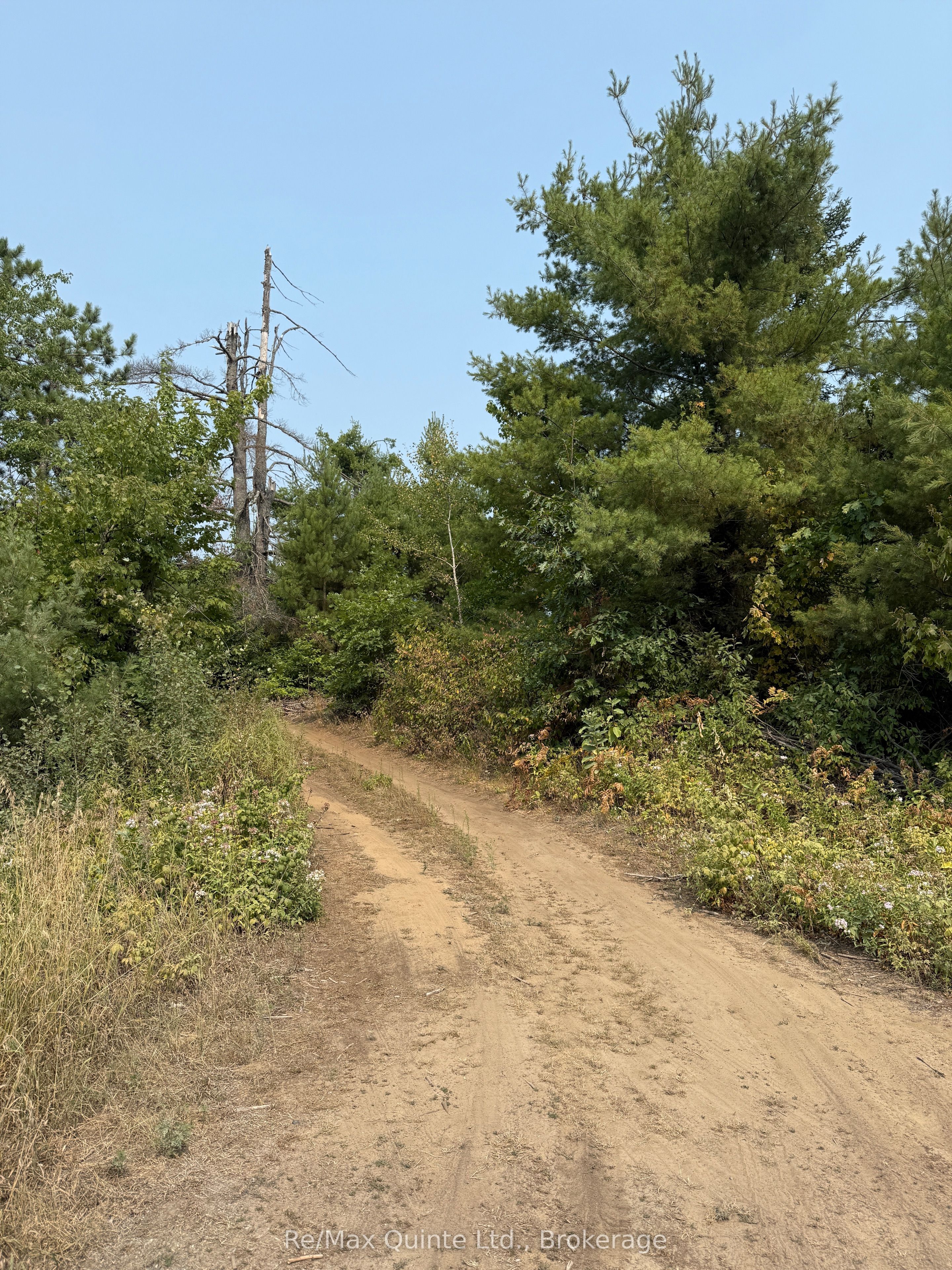 0 Potter Settlement Road, Tweed, ON, K0K 3J0