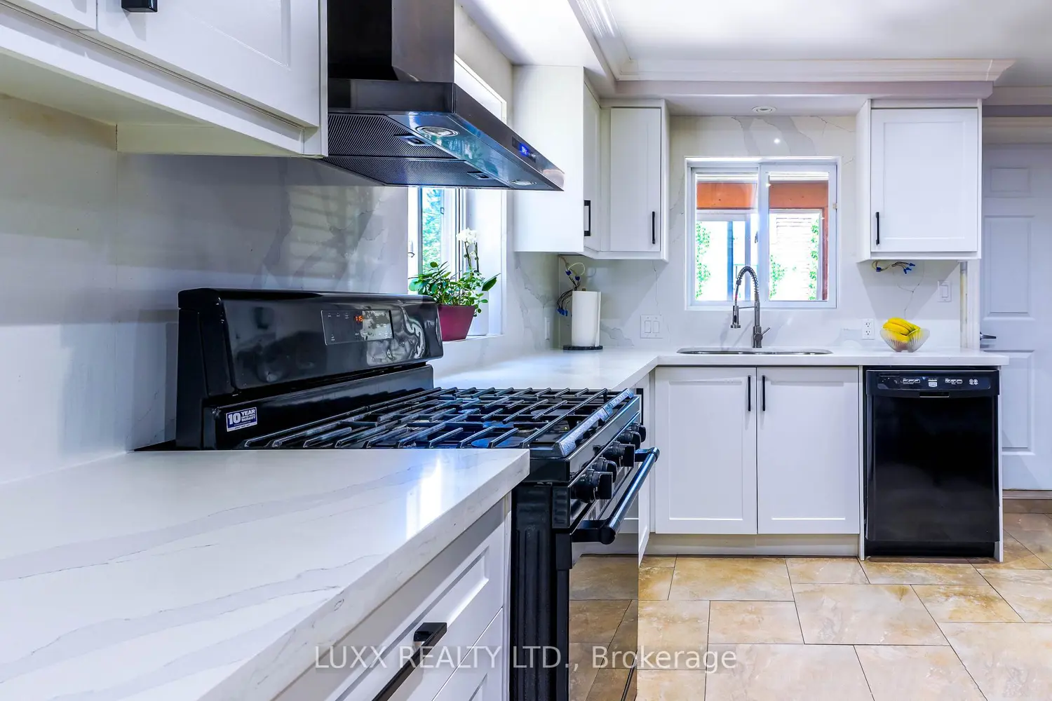 148 Northland Avenue photo 5
