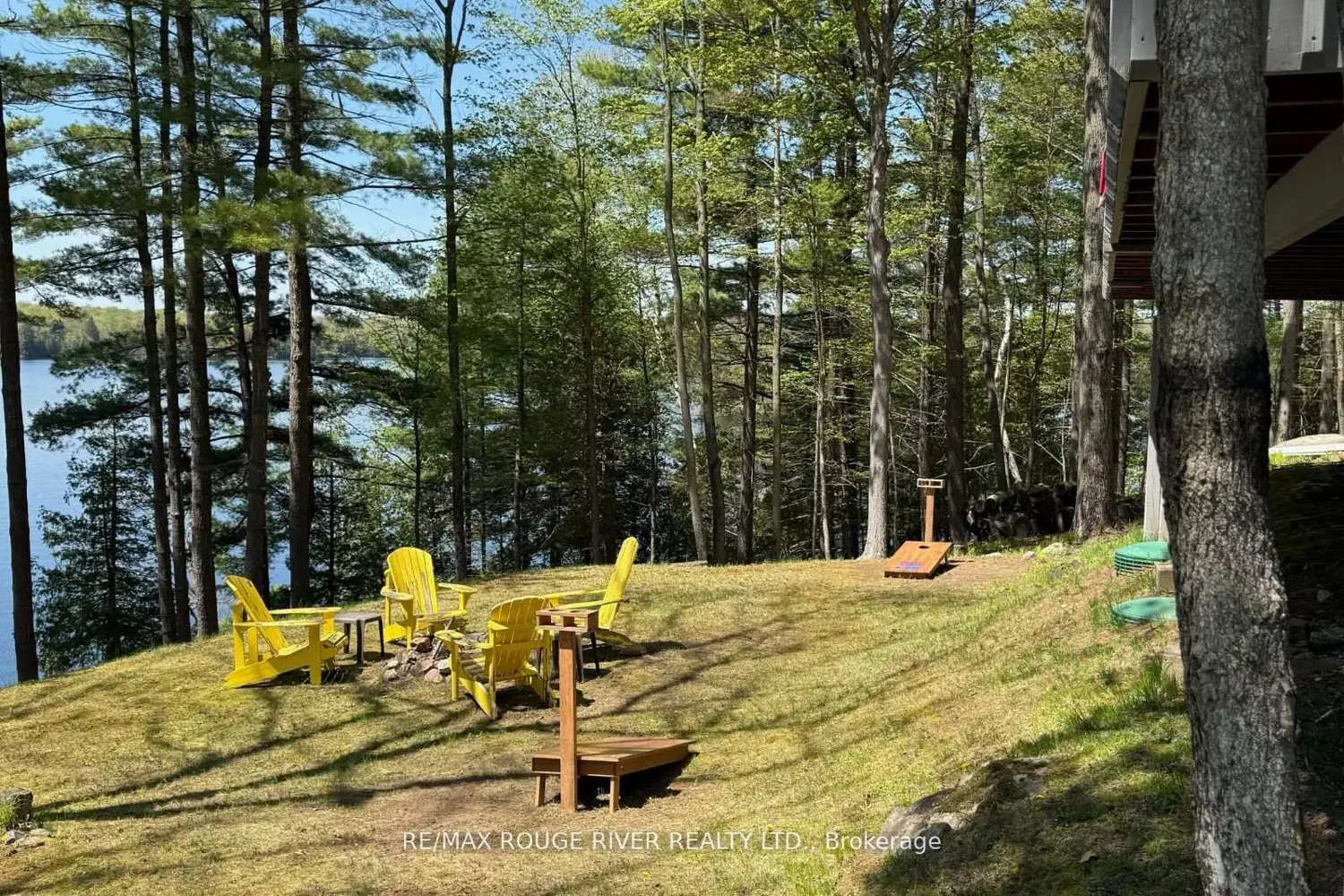 1784A Opeongo Point Road photo 3
