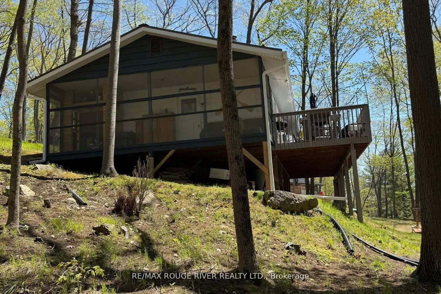 1784A Opeongo Point Road photo 4
